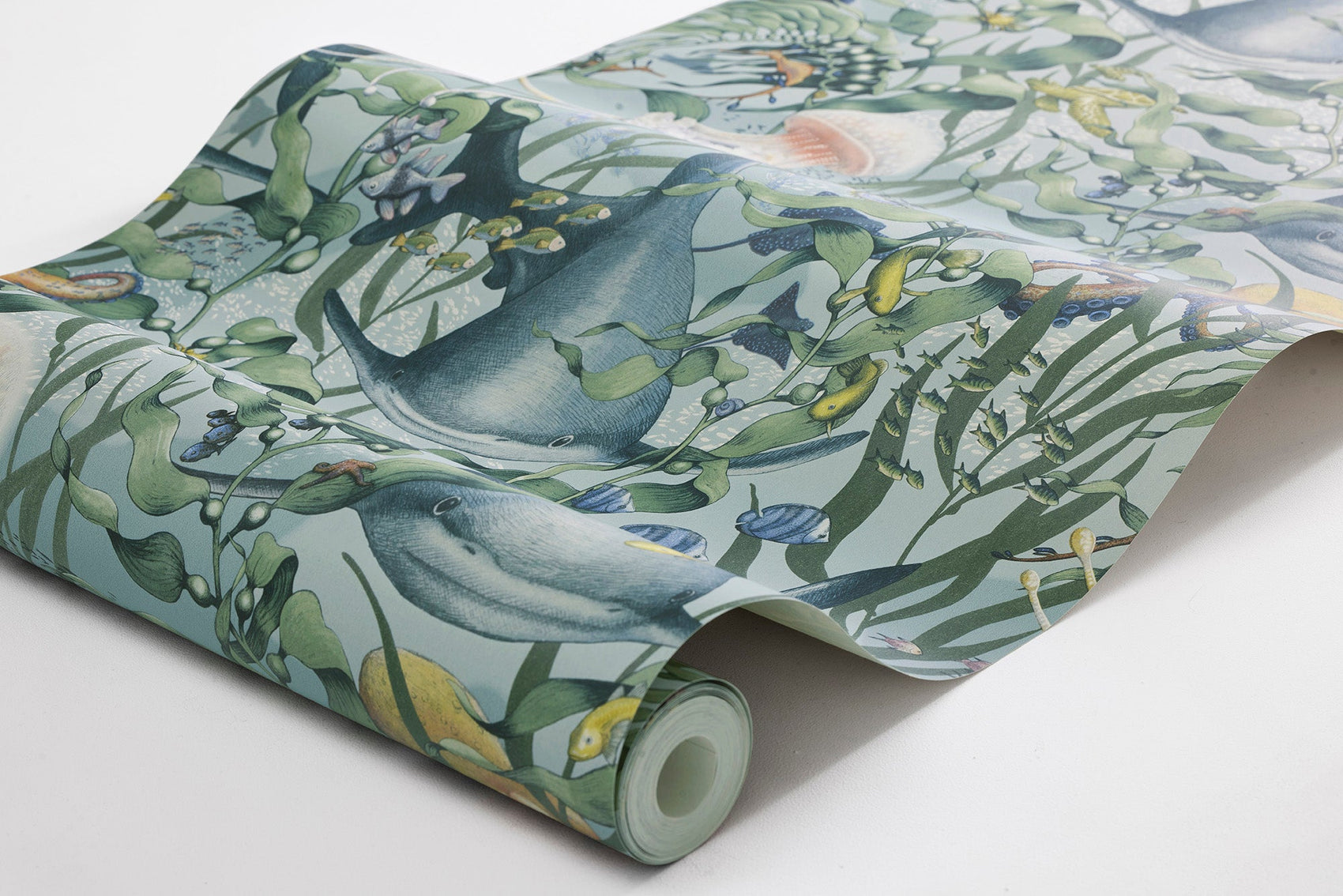 Blauw Dieren - BS52-0181 - Image8 - Fairyland - 8152