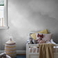 Wolkenlucht Grijs BS8W-2955