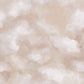 Wolkenlucht Roze BS0W-2956