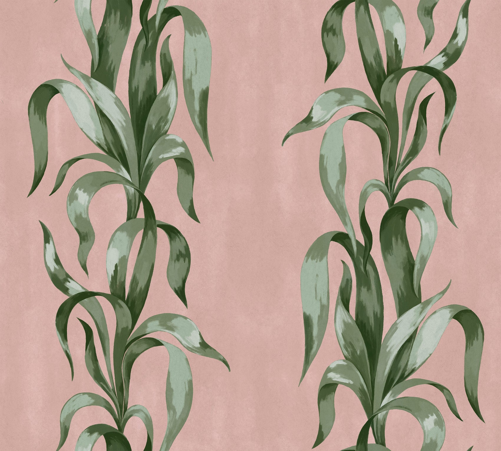 Agave Roze BS7W-2960