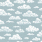 In de Wolken Blauw BS8W-2961
