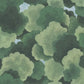 Onder de Bomen Groen BS0W-2962