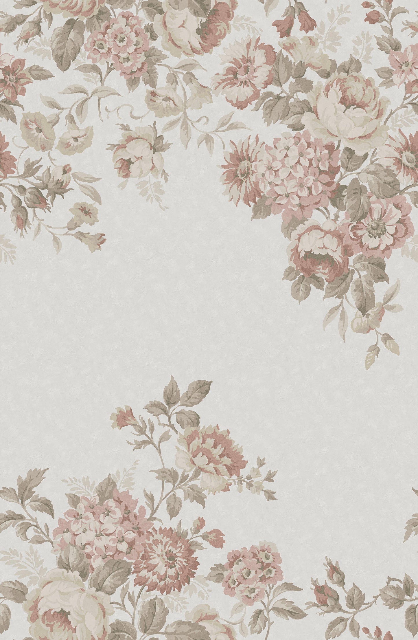 Hortensia Grand Roze BS6W-2971