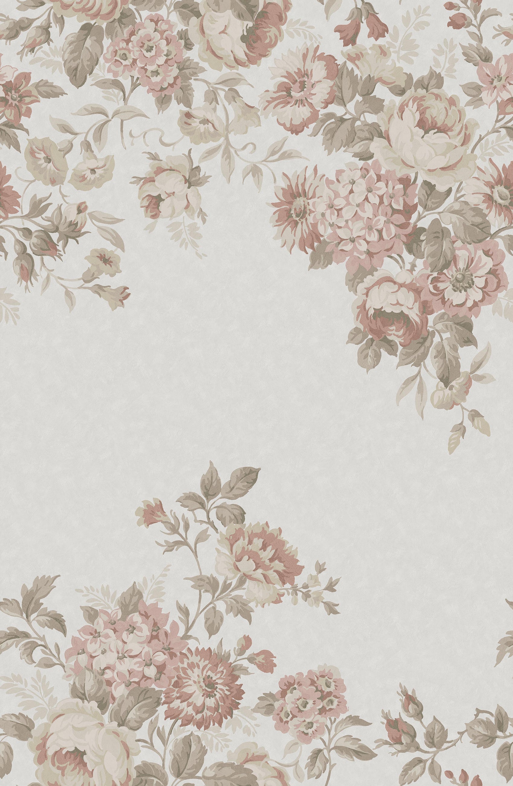 Hortensia Grand Roze BS6W-2971