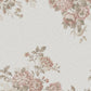 Hortensia Grand Roze BS6W-2971