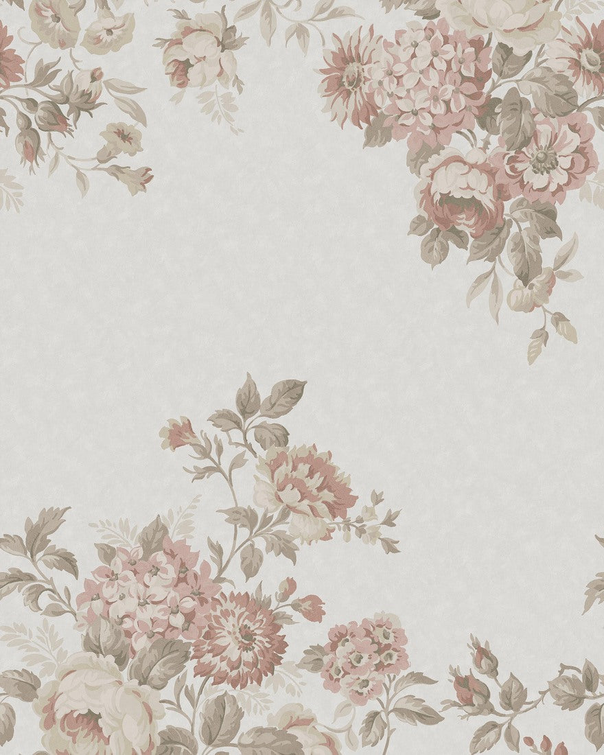 Hortensia Grand Roze BS6W-2971