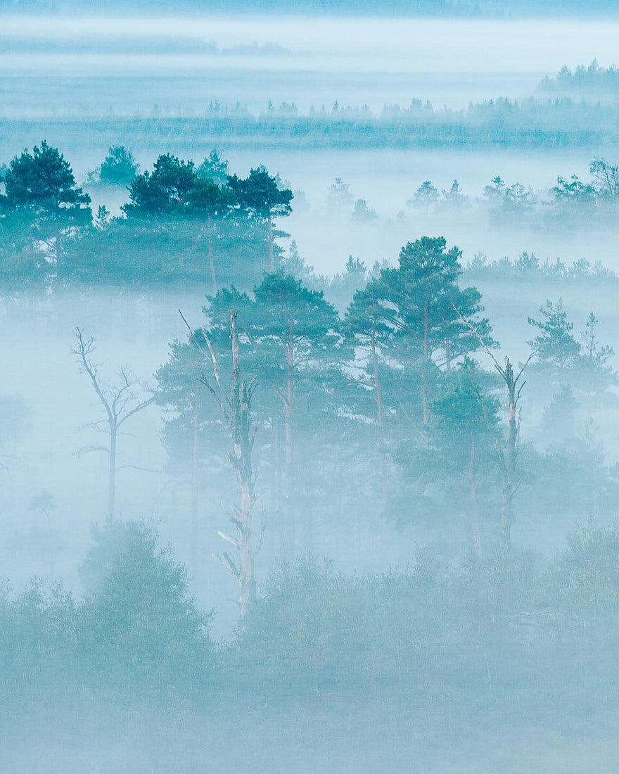 Dimhav Blauw BS9W-2977