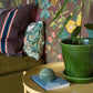 Sommar Bruin BS2W-2982