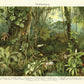 Tropisch regenwoud NH250017