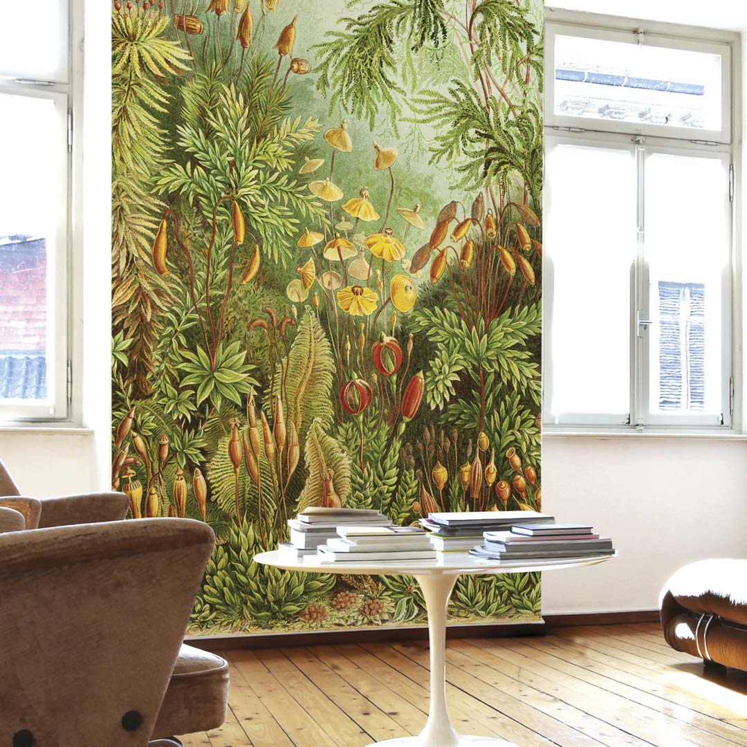 Haarmos door Ernst Haeckel NH250018