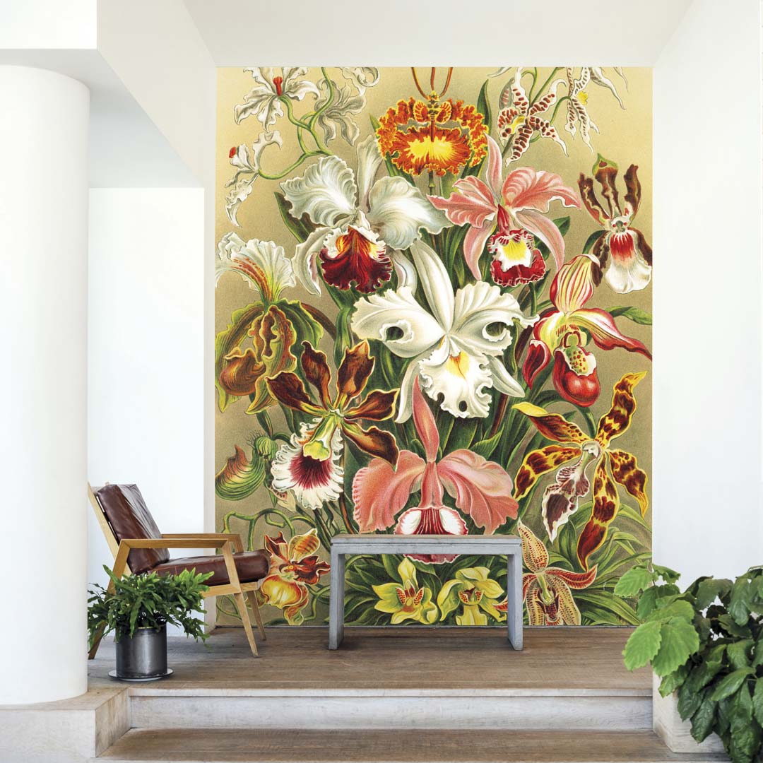 Orchideeën van Ernst Heackel NH250019