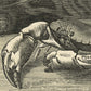 Zee-aquarium NH250023