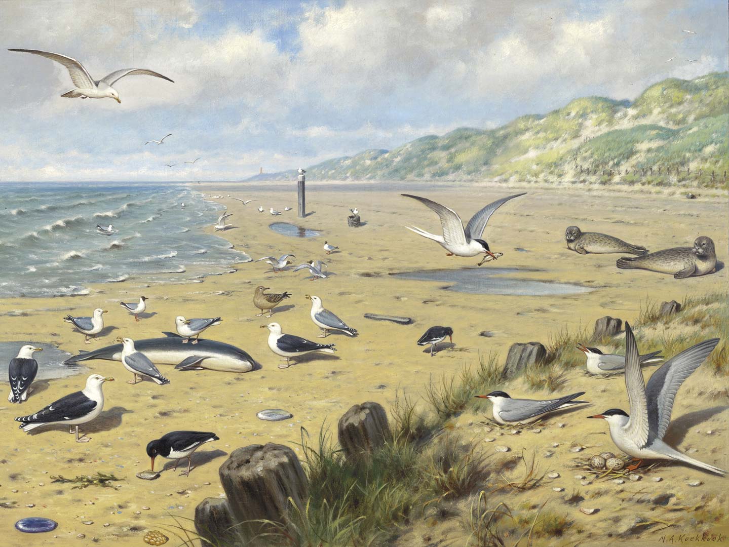 Aan het strand NH250064
