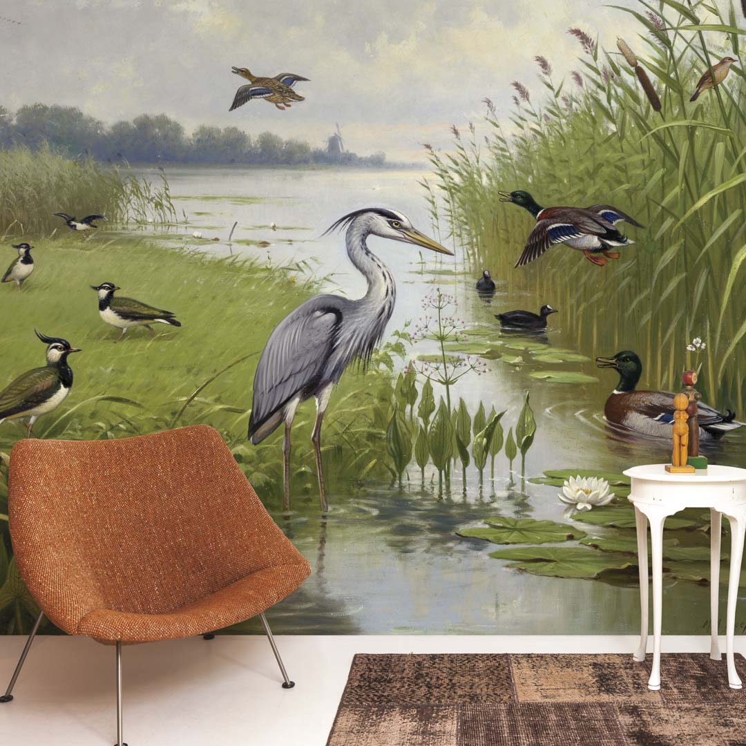 Water- en weidevogels NH250074