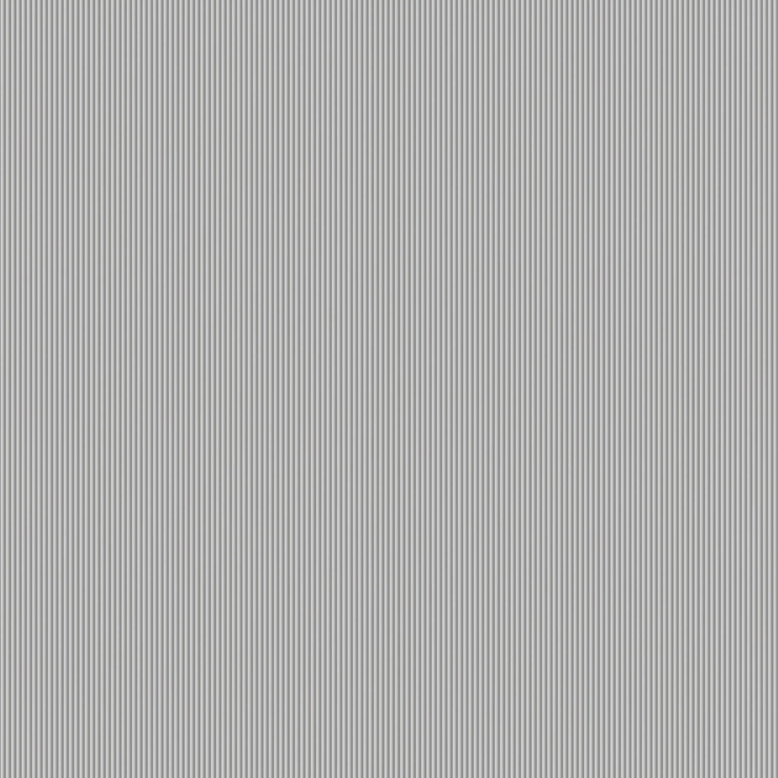 Zilver Strepen - ZM10-0812 - Image1 - Lamborghini - Z12810