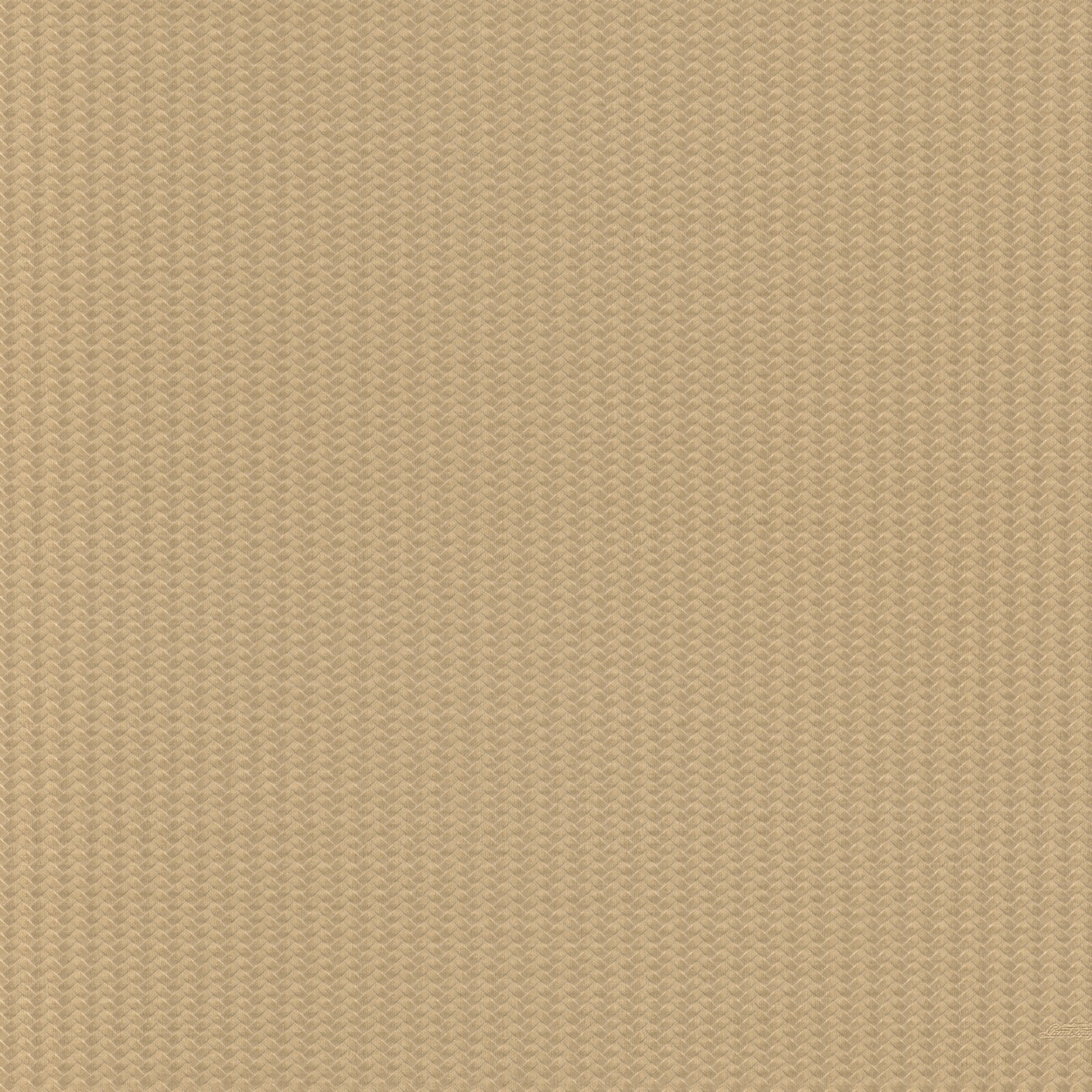 Beige Grafisch - ZM35-0812 - Image1 - Lamborghini - Z12835