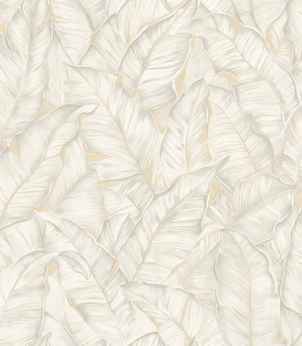 Wit Botanisch - ZM01-0330 - Image1 - Trussardi 8 - Z30301