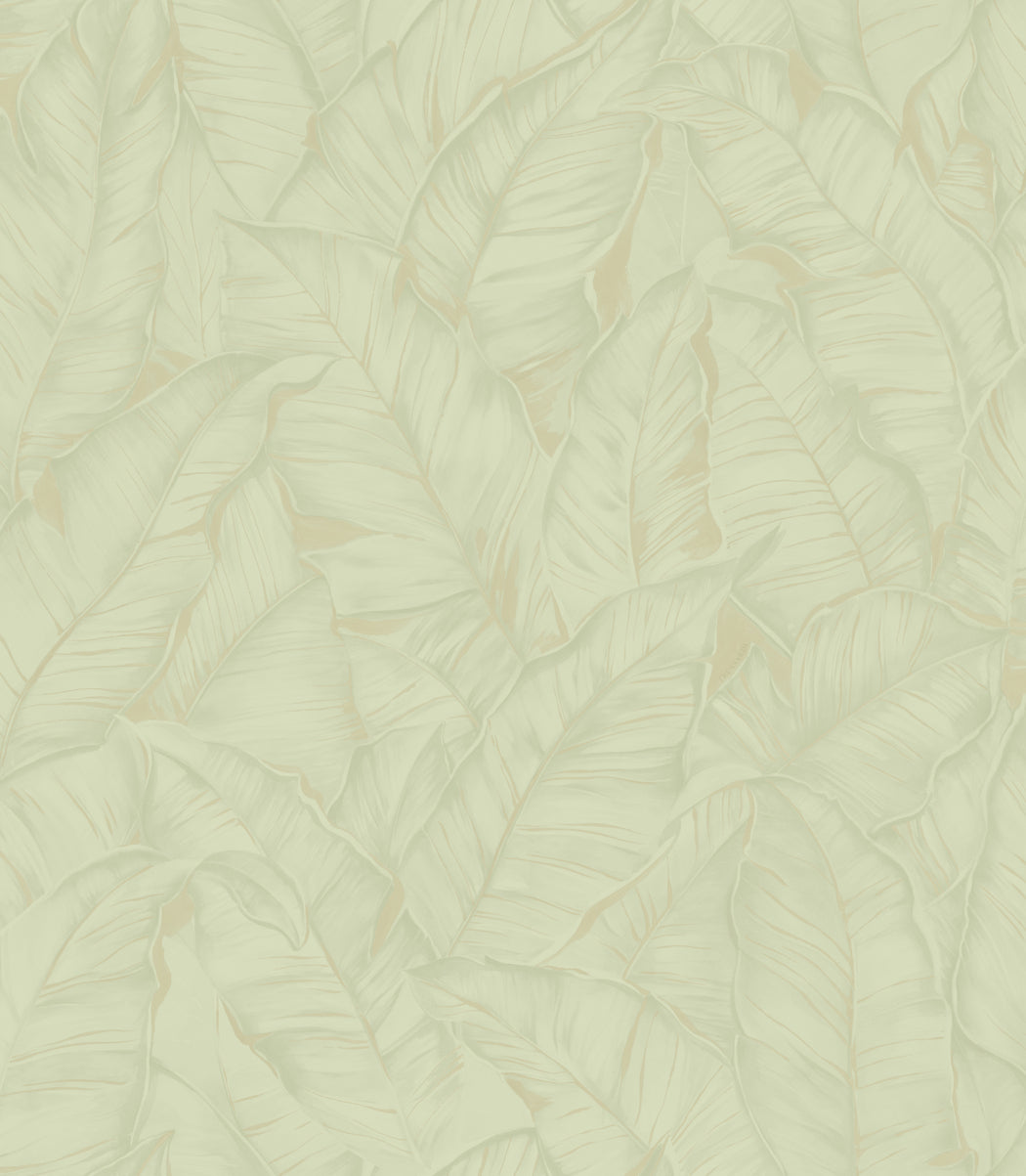 Groen Botanisch - ZM09-0330 - Image1 - Trussardi 8 - Z30309