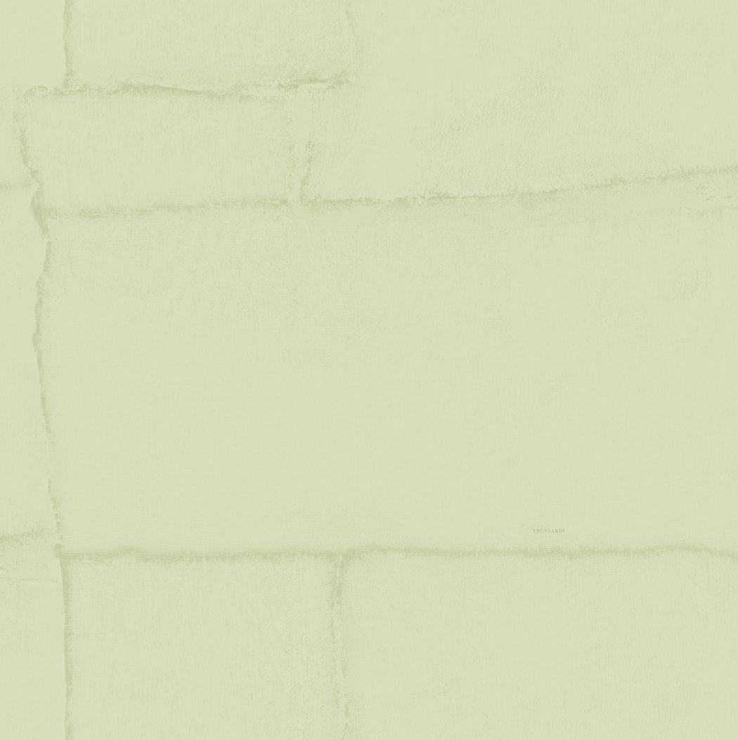 Wit Abstract - ZM10-0330 - Image1 - Trussardi 8 - Z30310