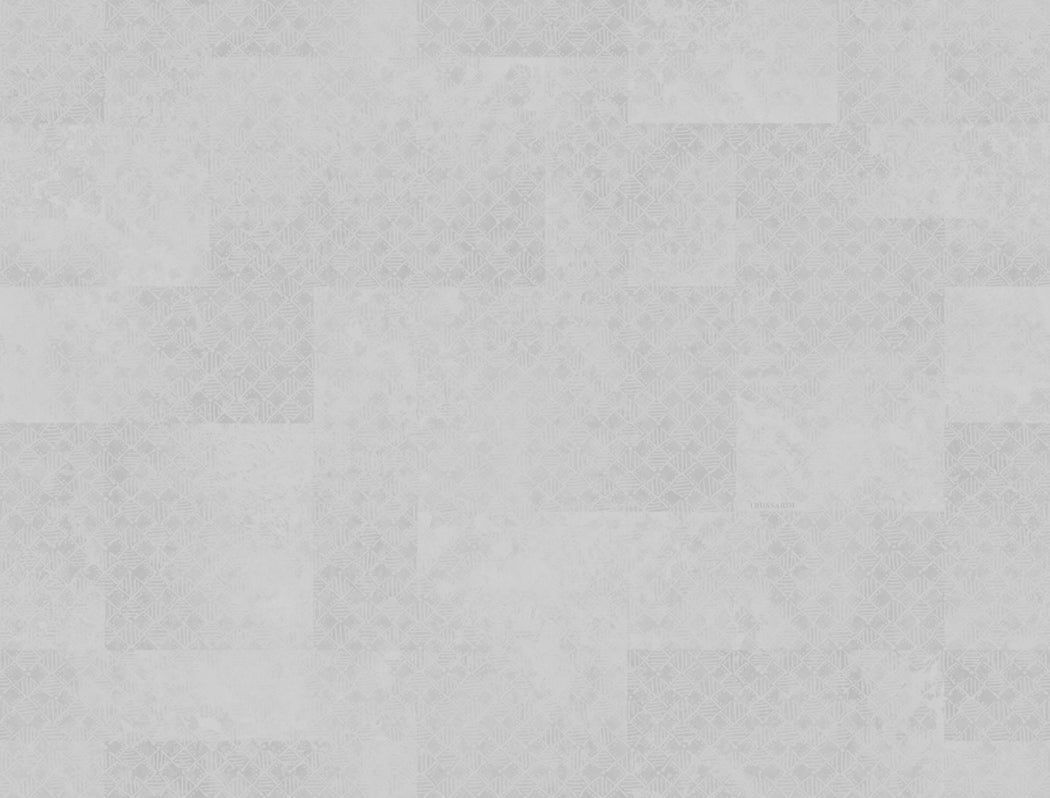 Zilver Grafisch - ZM40-0330 - Image1 - Trussardi 8 - Z30340