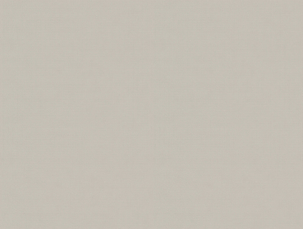 Zilver Uni - ZM12-0554 - Image1 - Fuksas - Z54512