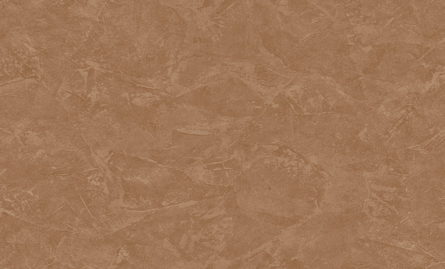 Terracotta Uni - ZM07-0081 - Image1 - Philipp Plein 2 - Z81007