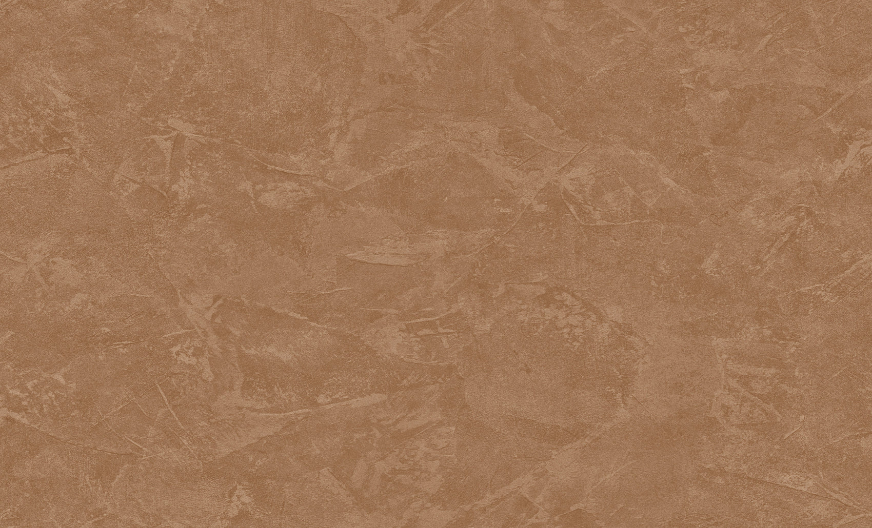 Terracotta Uni - ZM07-0081 - Image1 - Philipp Plein 2 - Z81007