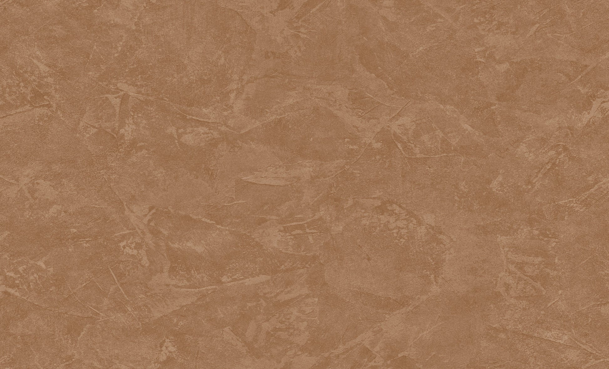 Terracotta Uni - ZM07-0081 - Image1 - Philipp Plein 2 - Z81007