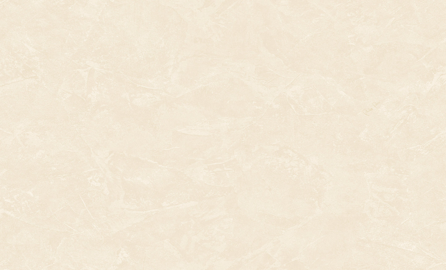 Wit Textiel - ZM11-0081 - Image1 - Philipp Plein 2 - Z81011