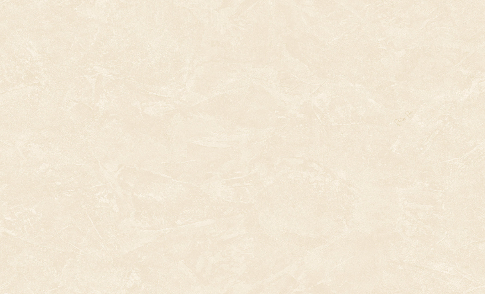 Wit Textiel - ZM11-0081 - Image1 - Philipp Plein 2 - Z81011