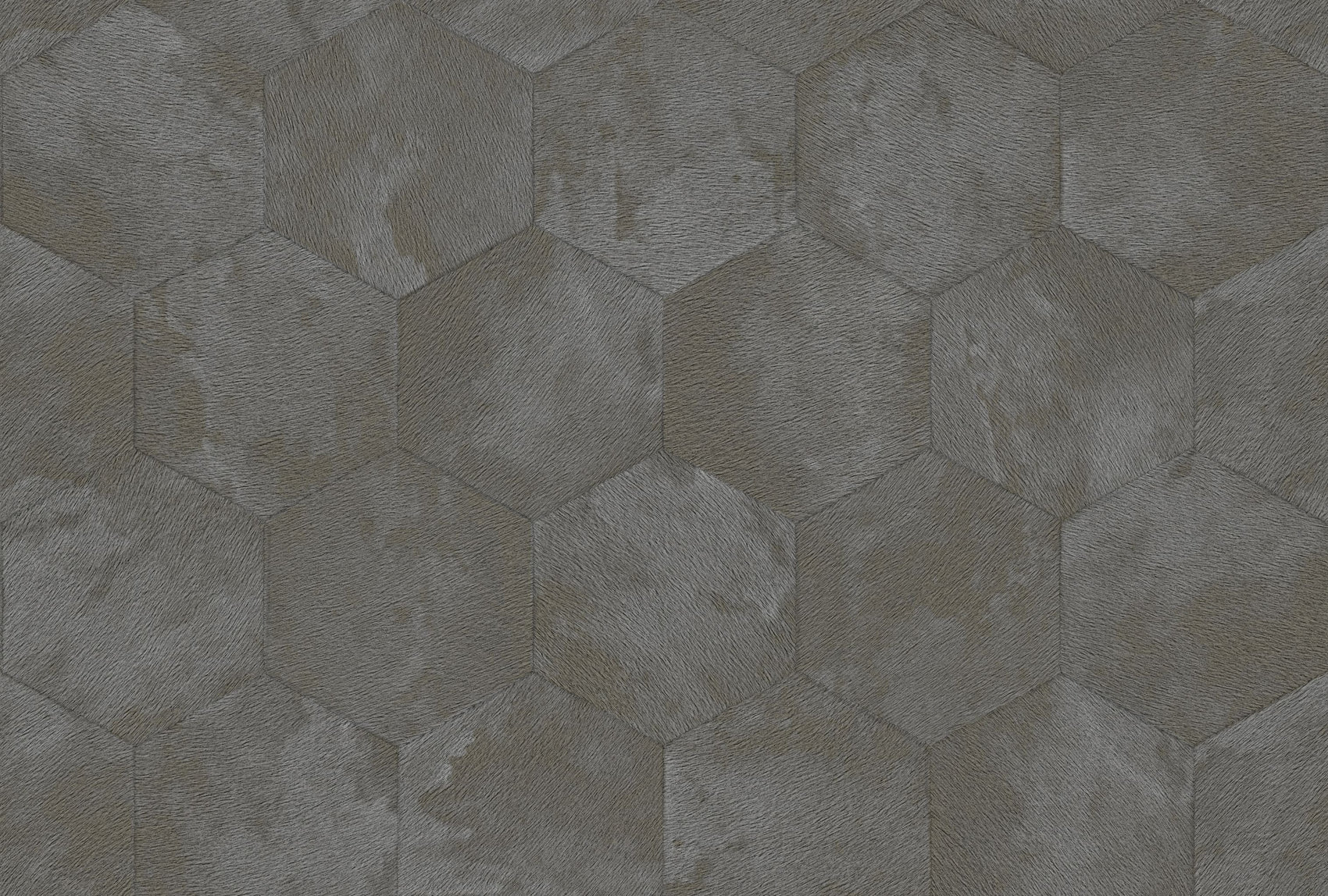 Grijs Grafisch - ZM27-0081 - Image1 - Philipp Plein 2 - Z81027