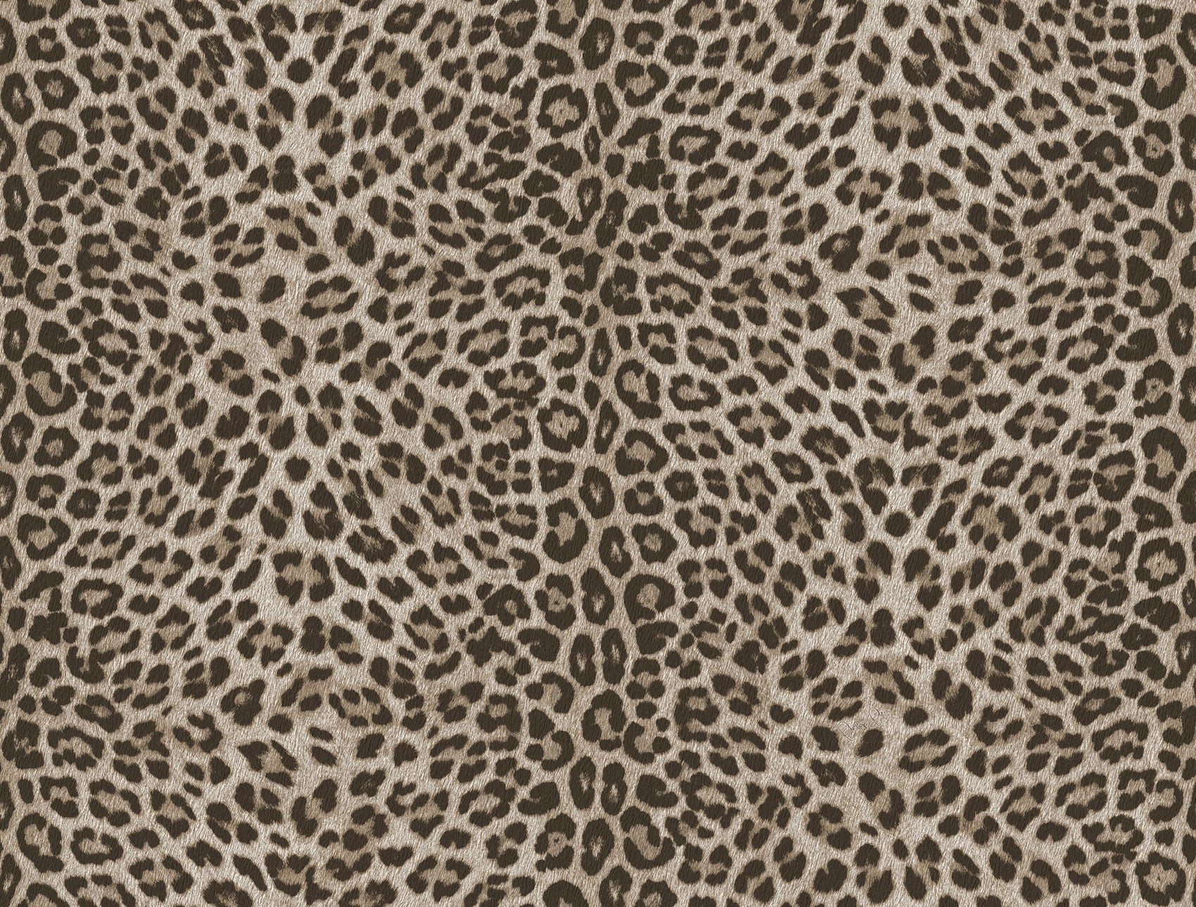 Beige Dieren - ZM28-0081 - Image1 - Philipp Plein 2 - Z81028