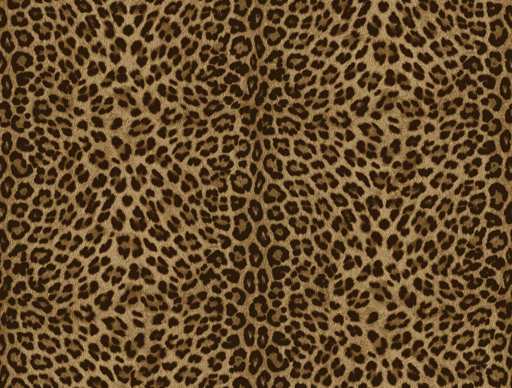 Beige Dieren - ZM29-0081 - Image1 - Philipp Plein 2 - Z81029