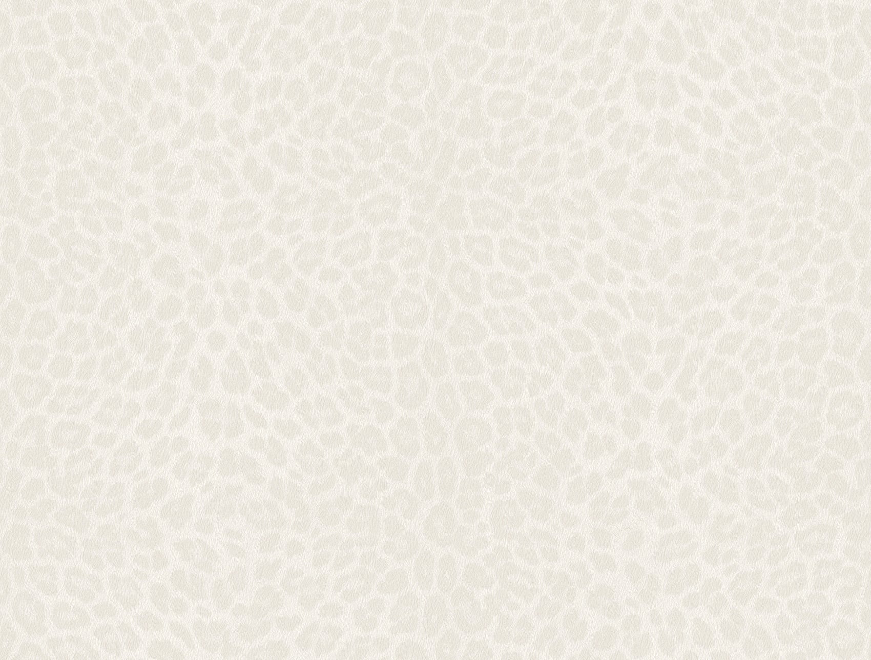 Wit Dieren - ZM30-0081 - Image1 - Philipp Plein 2 - Z81030