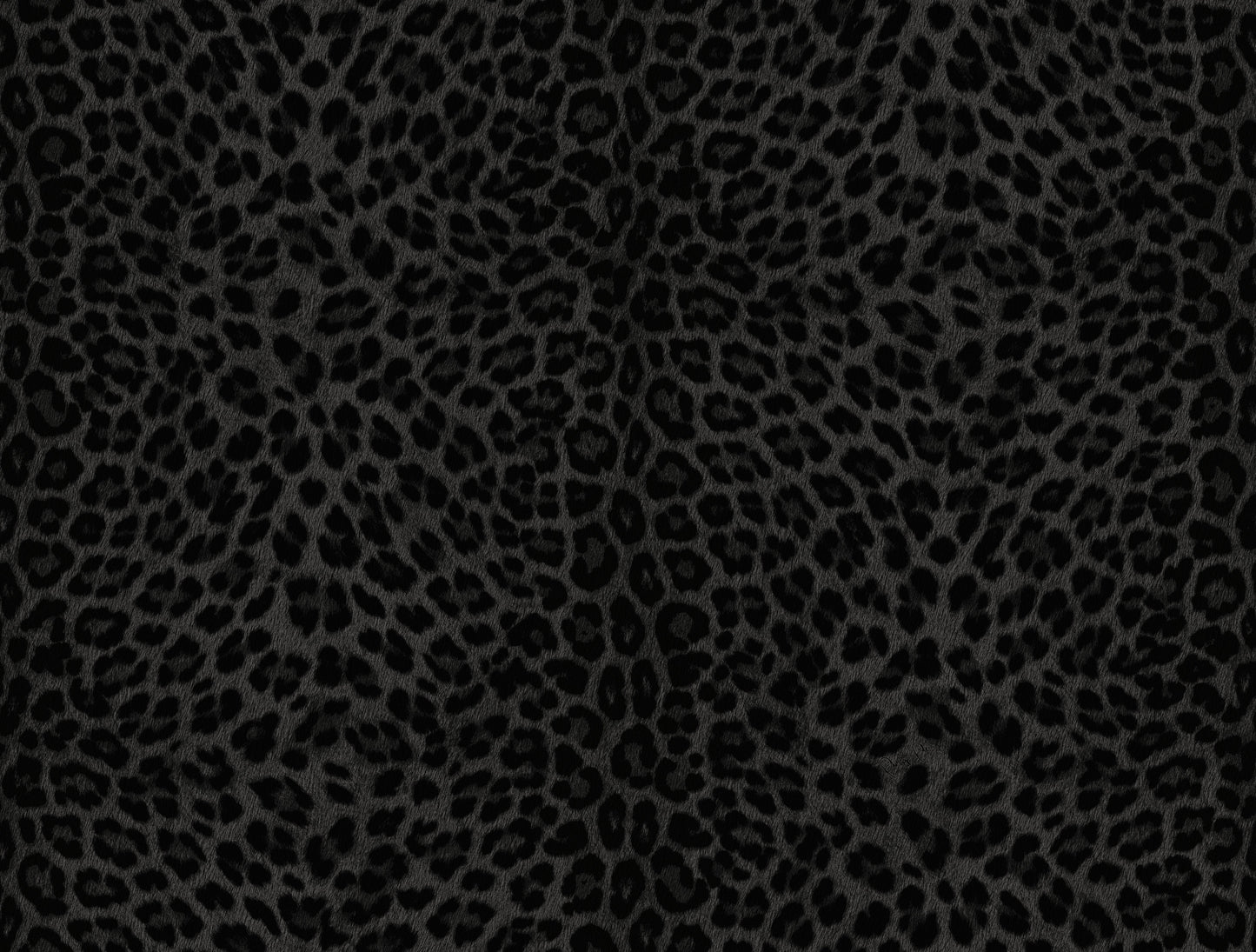 Zwart Dieren - ZM31-0081 - Image1 - Philipp Plein 2 - Z81031