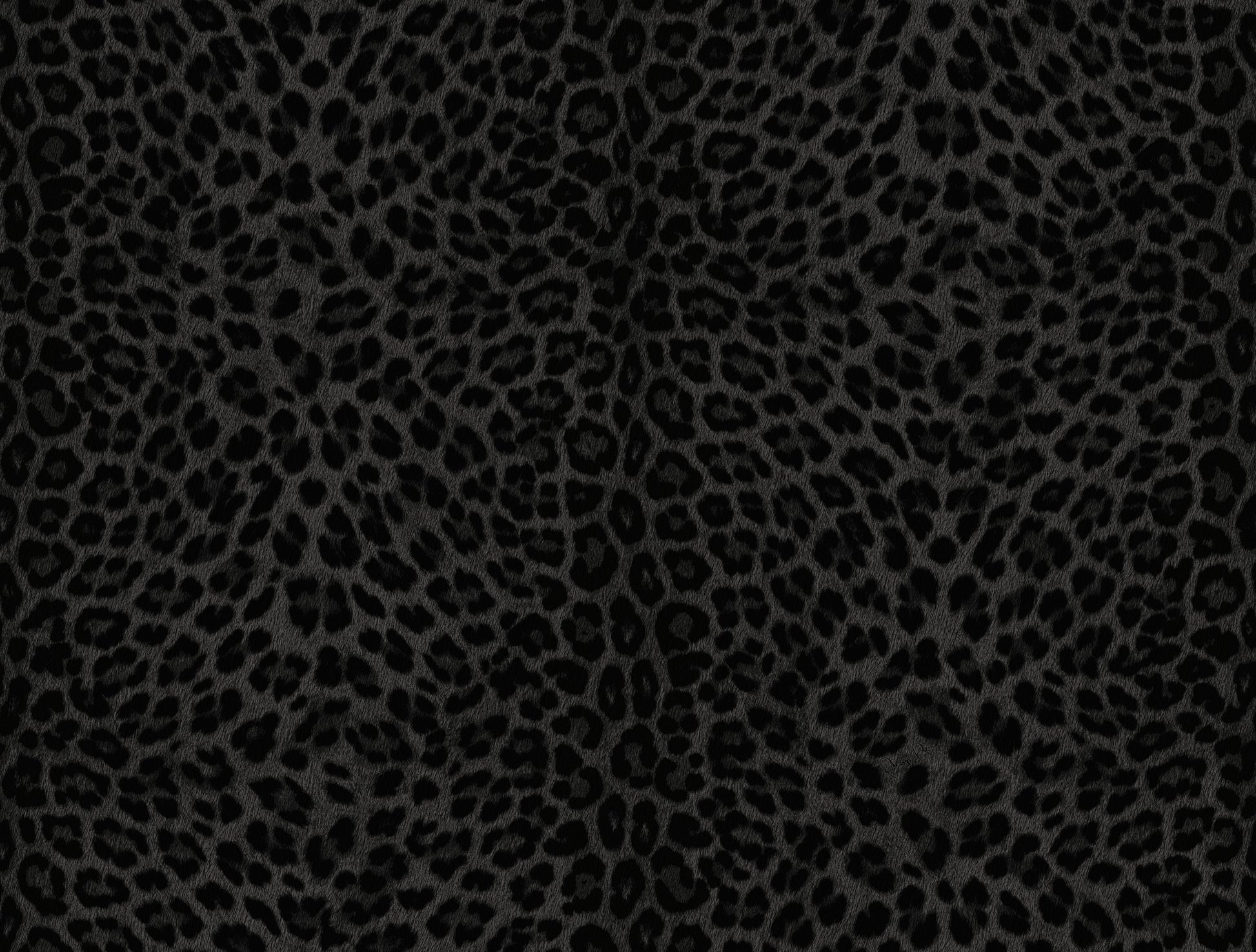 Zwart Dieren - ZM31-0081 - Image1 - Philipp Plein 2 - Z81031