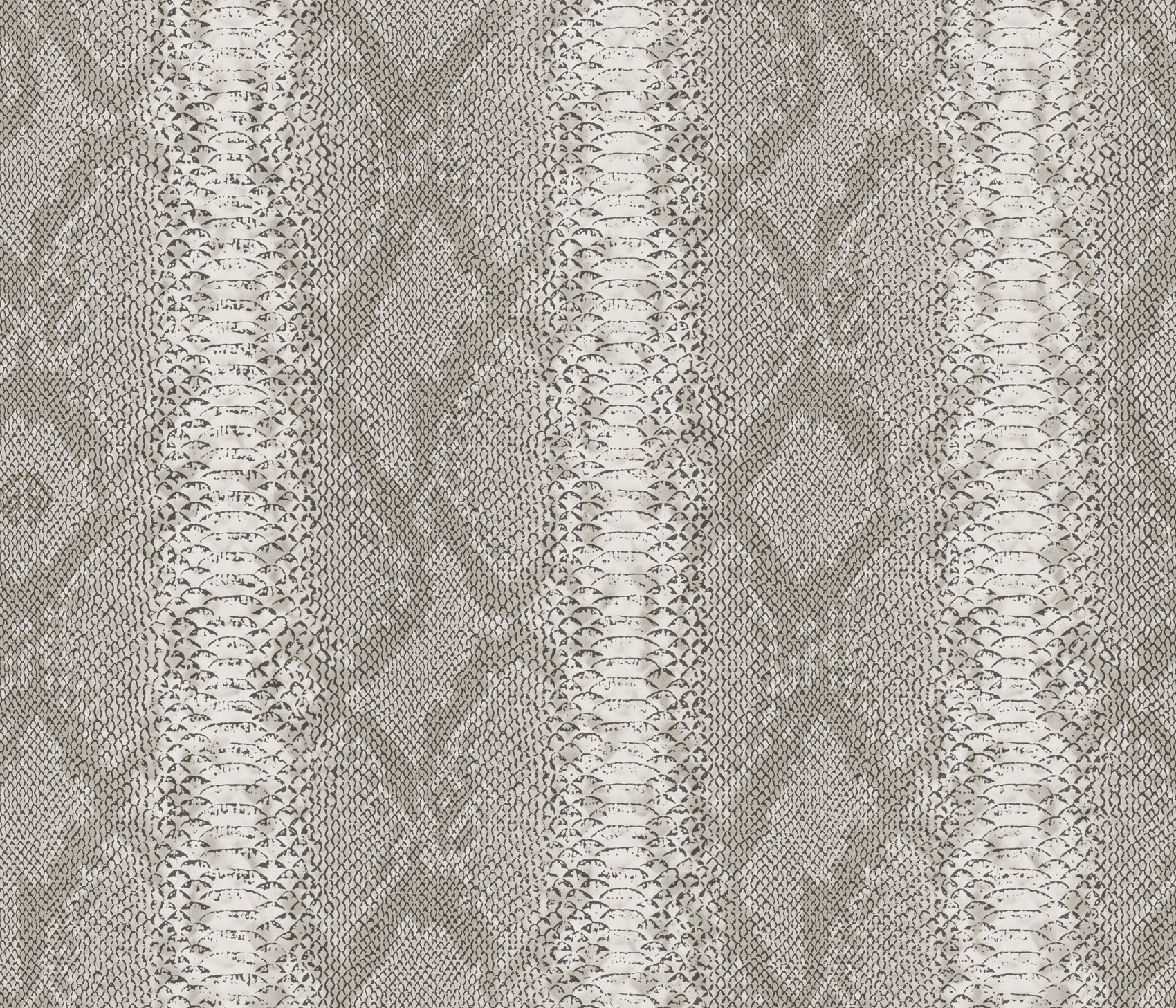 Wit Dieren - ZM32-0081 - Image1 - Philipp Plein 2 - Z81032