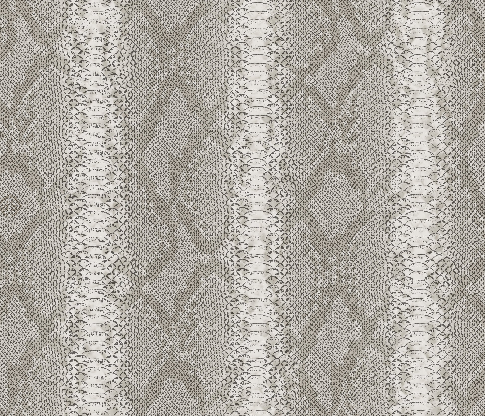 Wit Dieren - ZM32-0081 - Image1 - Philipp Plein 2 - Z81032