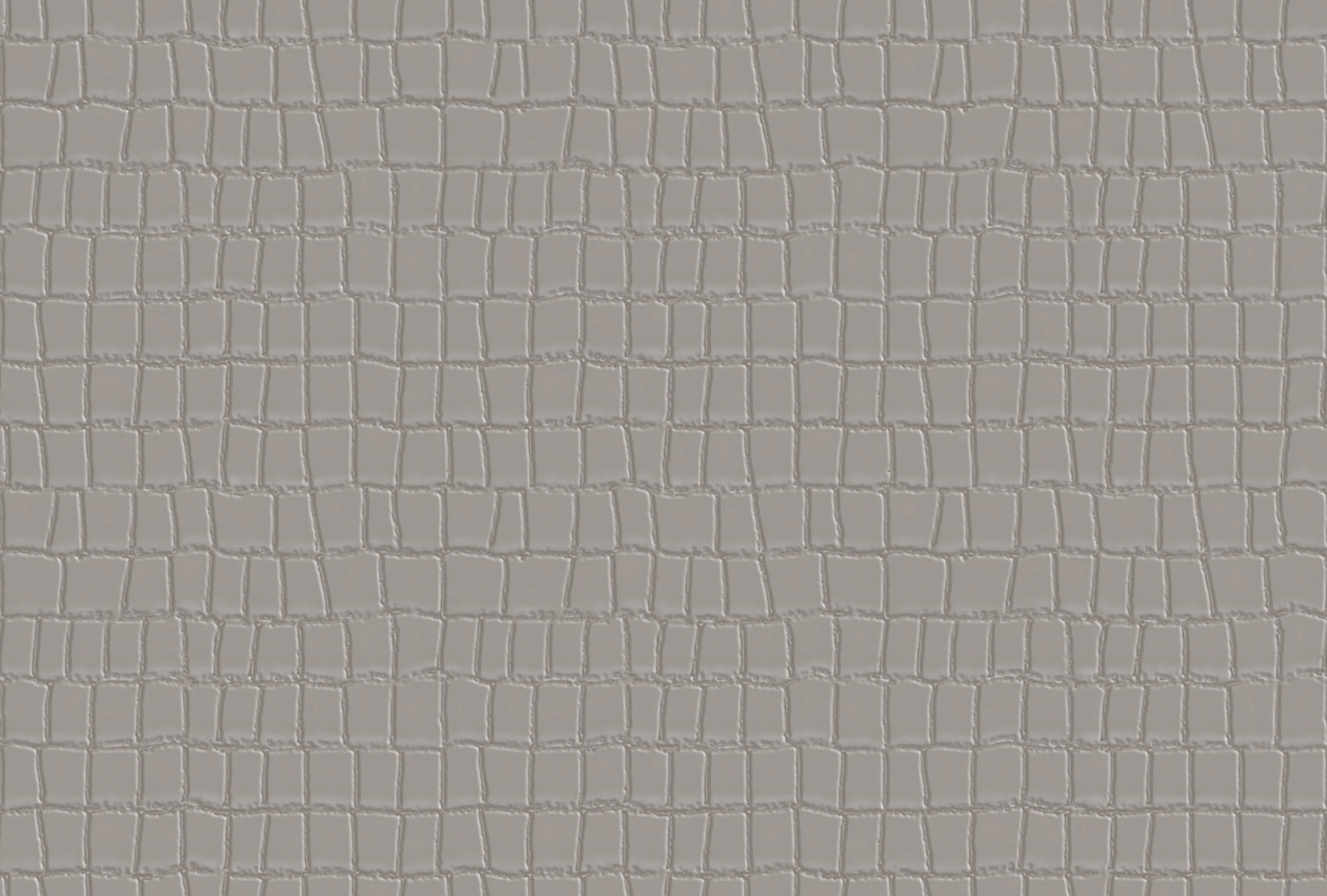 Grijs Dieren - ZM36-0081 - Image1 - Philipp Plein 2 - Z81036