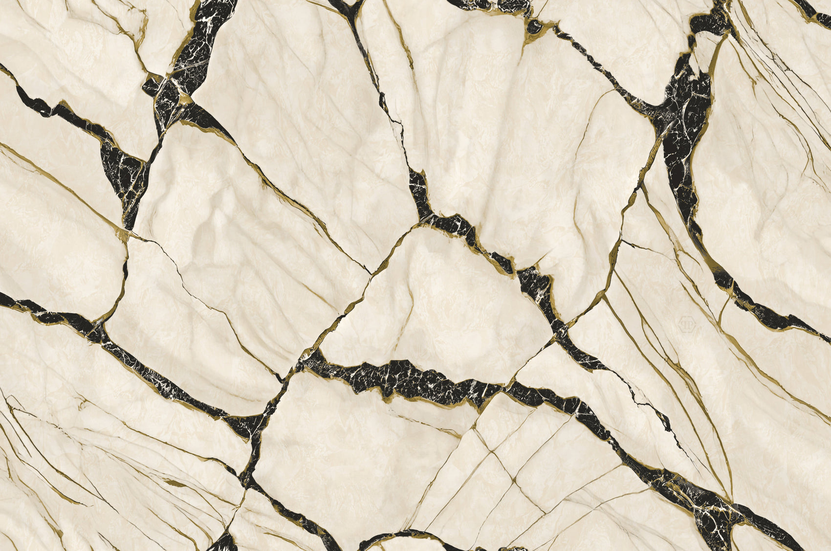 Wit Marmer - ZM38-0081 - Image1 - Philipp Plein 2 - Z81038